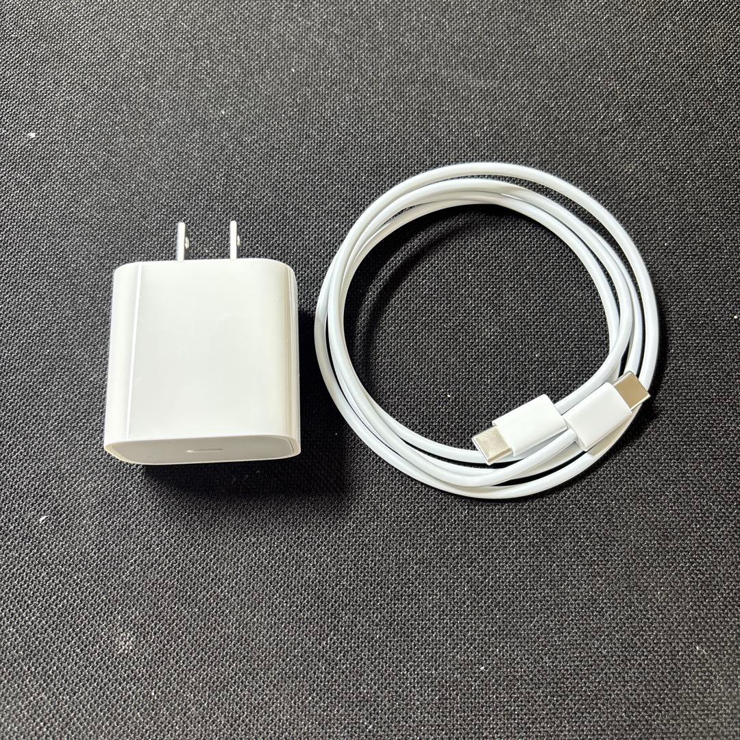 【極美品】iPad mini 6 (256GB) Wi-Fi+Cellular