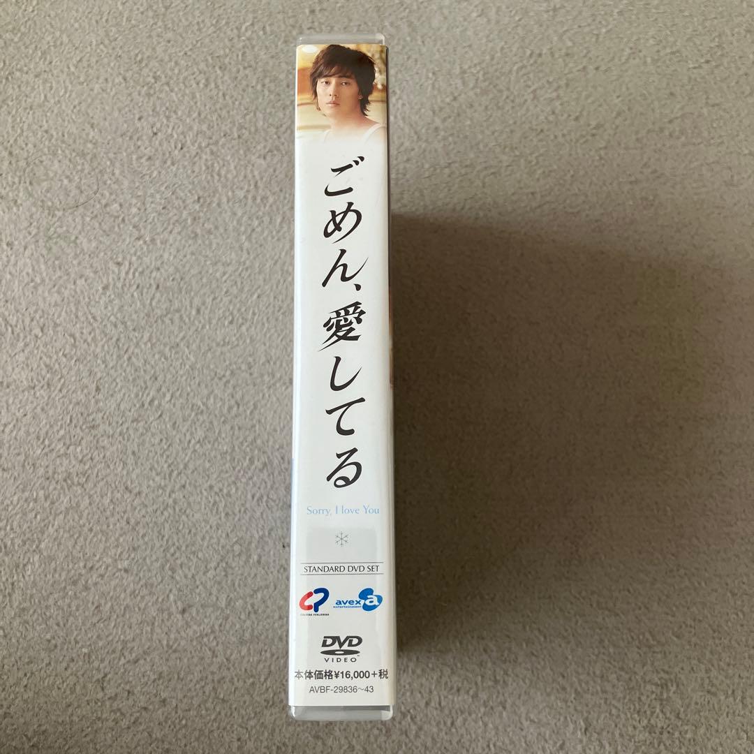 ごめん、愛してる Sorry, I love You DVD