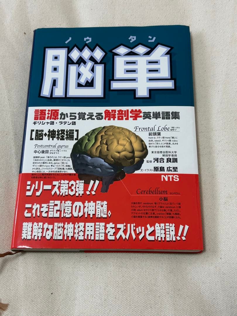 語源から覚える解剖学英単語集　肉単/脳単/骨単/臓単　セット