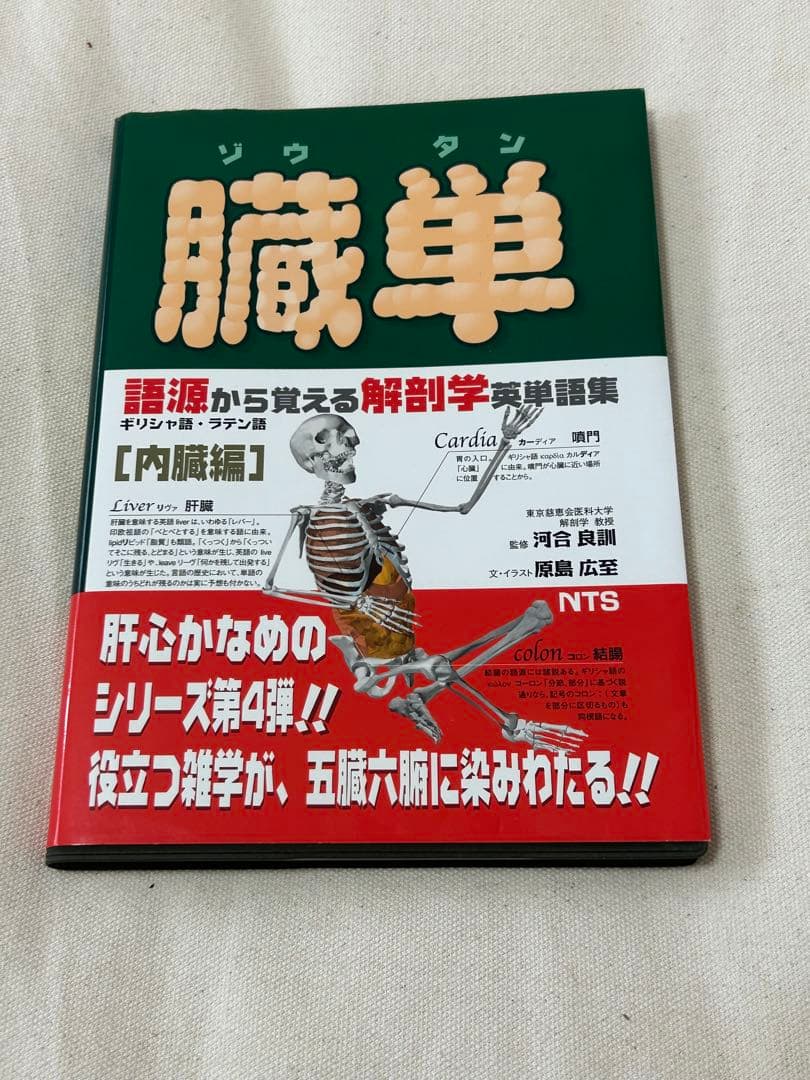 語源から覚える解剖学英単語集　肉単/脳単/骨単/臓単　セット