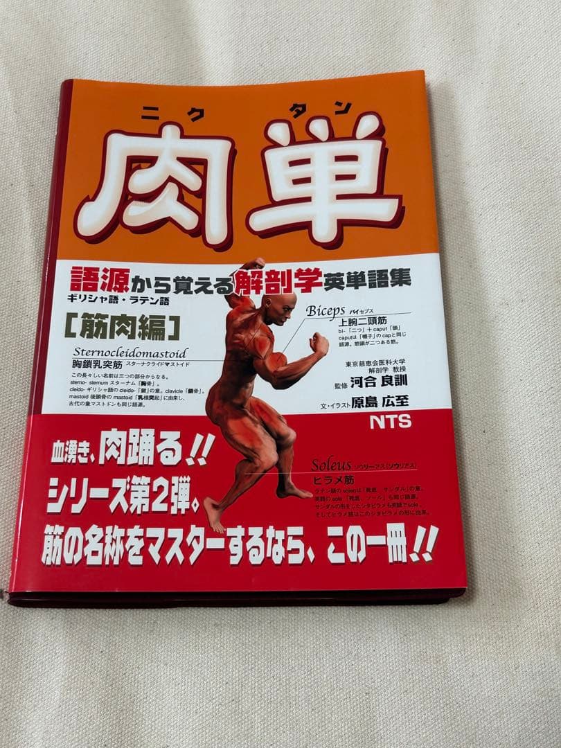 語源から覚える解剖学英単語集　肉単/脳単/骨単/臓単　セット