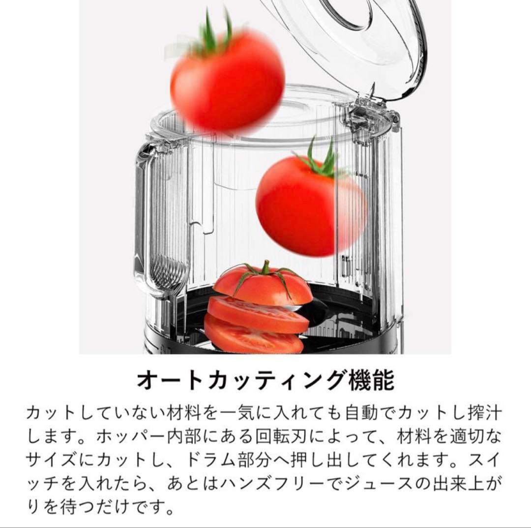 ヒューロム H70FT スロージューサー コールドプレスジューサー 2025年