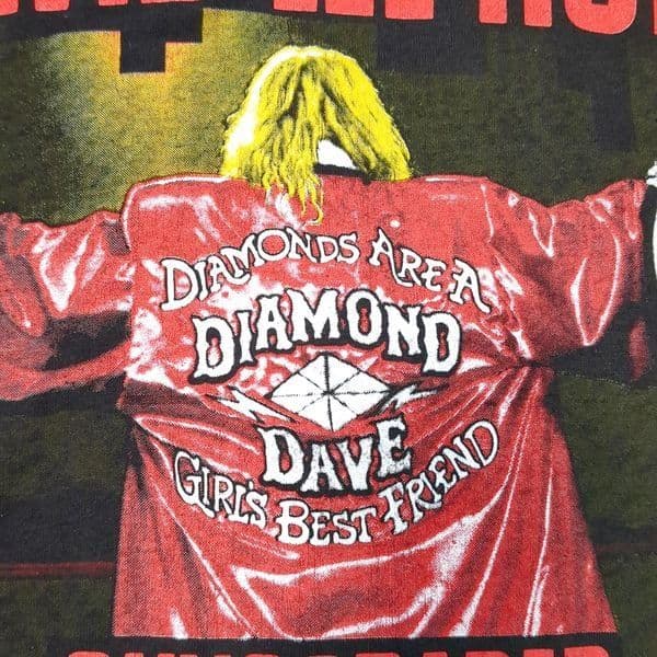 USA製 デイヴィッドリーロス ロックTシャツ L ヴィンテージ 80s