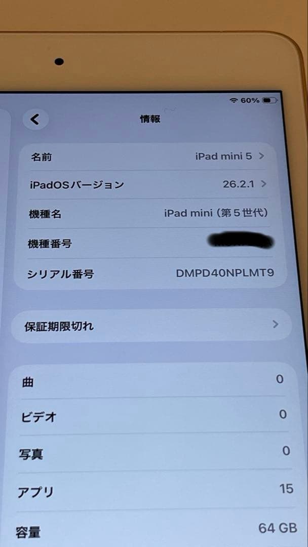 Apple iPad mini 5 64GB バッテリー96%