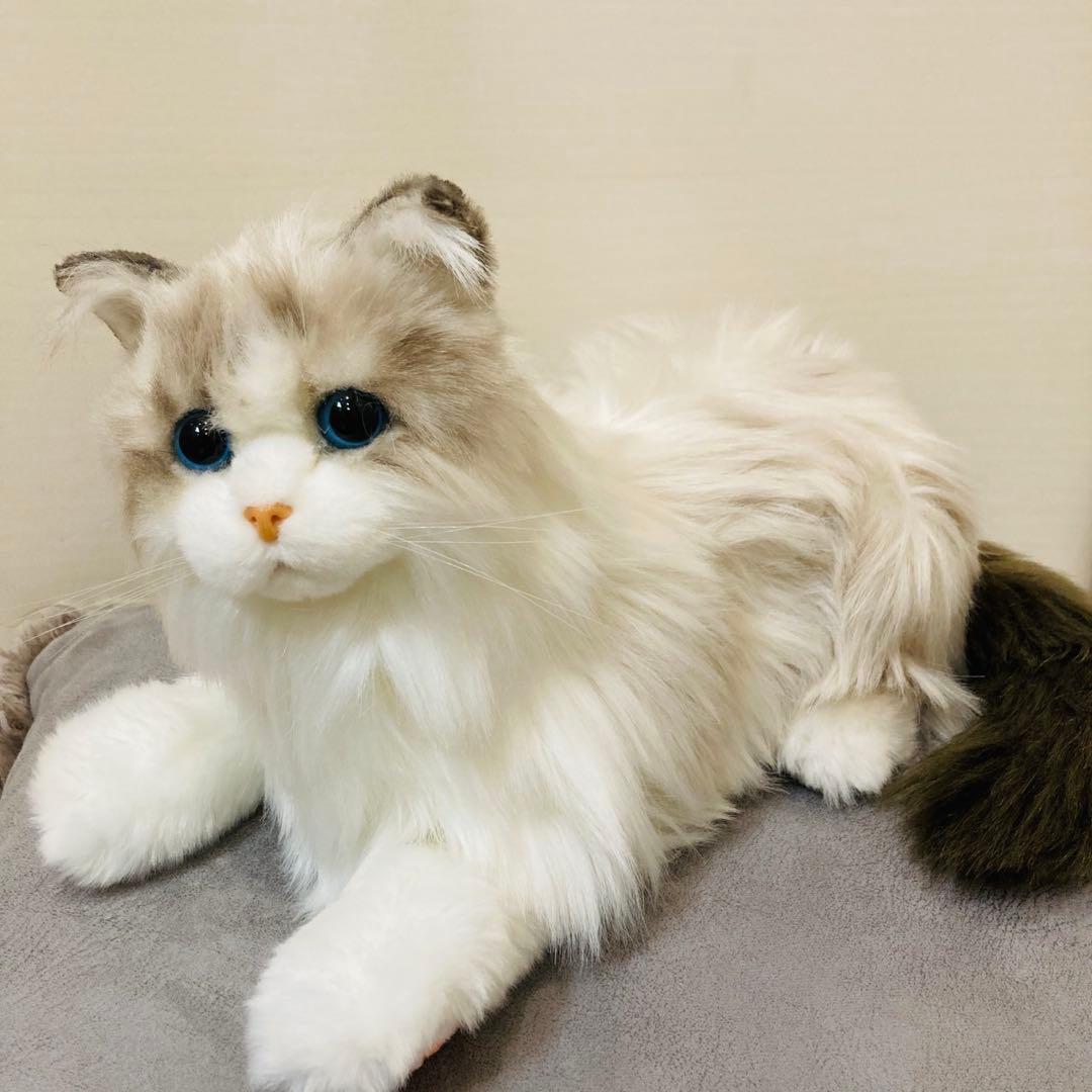 美品　なでなでねこちゃん　EX ラグドール　定価1.7万円