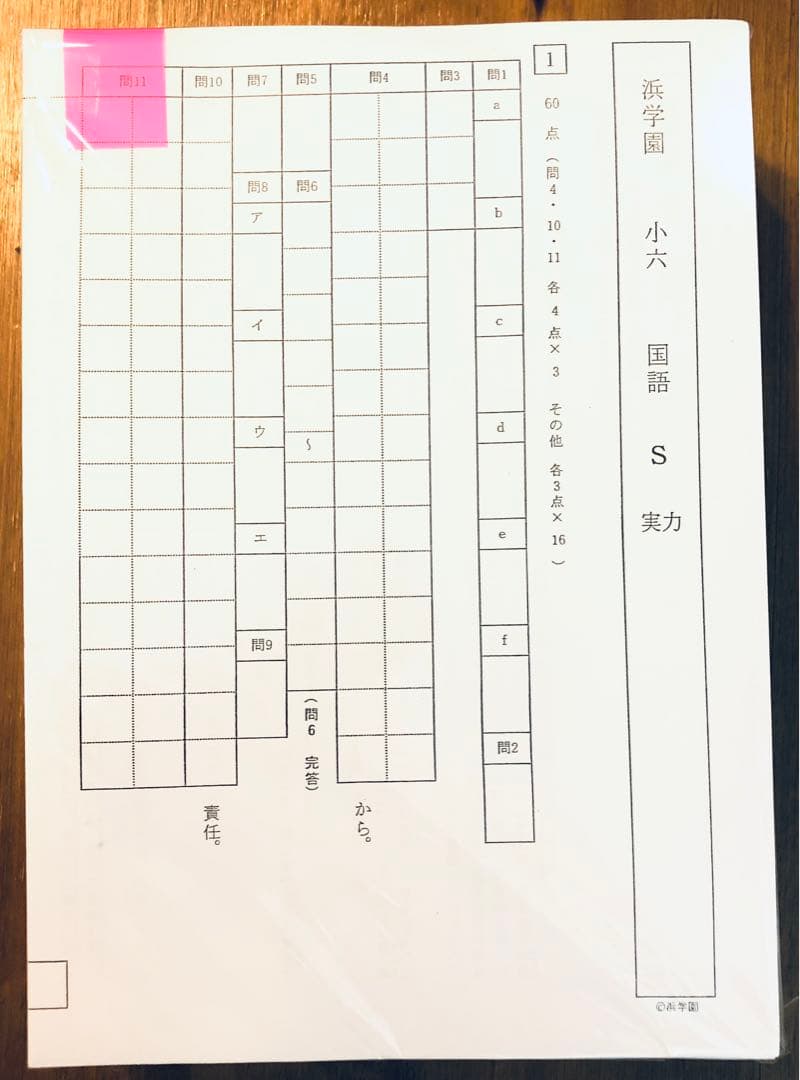 浜学園小6復習テスト　国算理（3科目）1年分