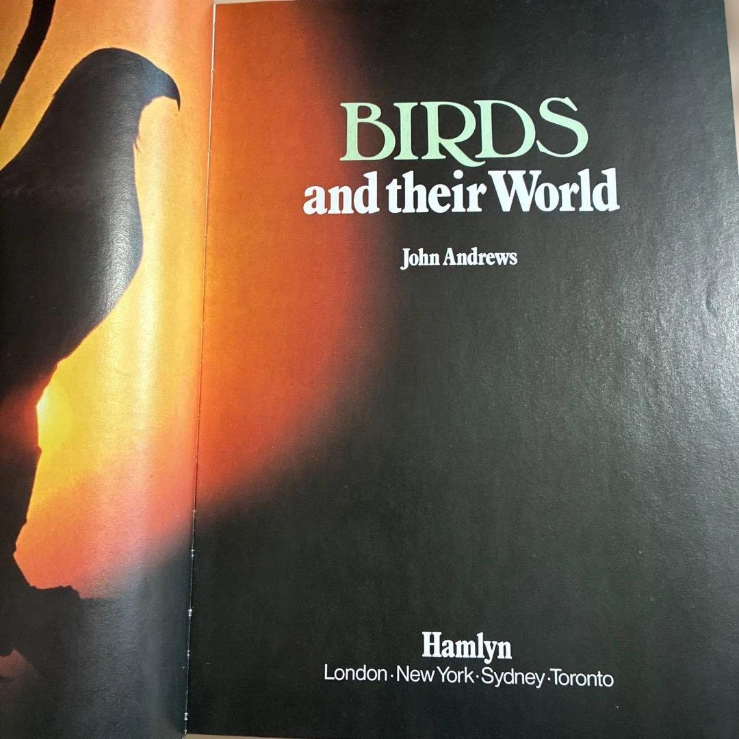 アート・デザイン・音楽 BIRDS and their World John Andrews