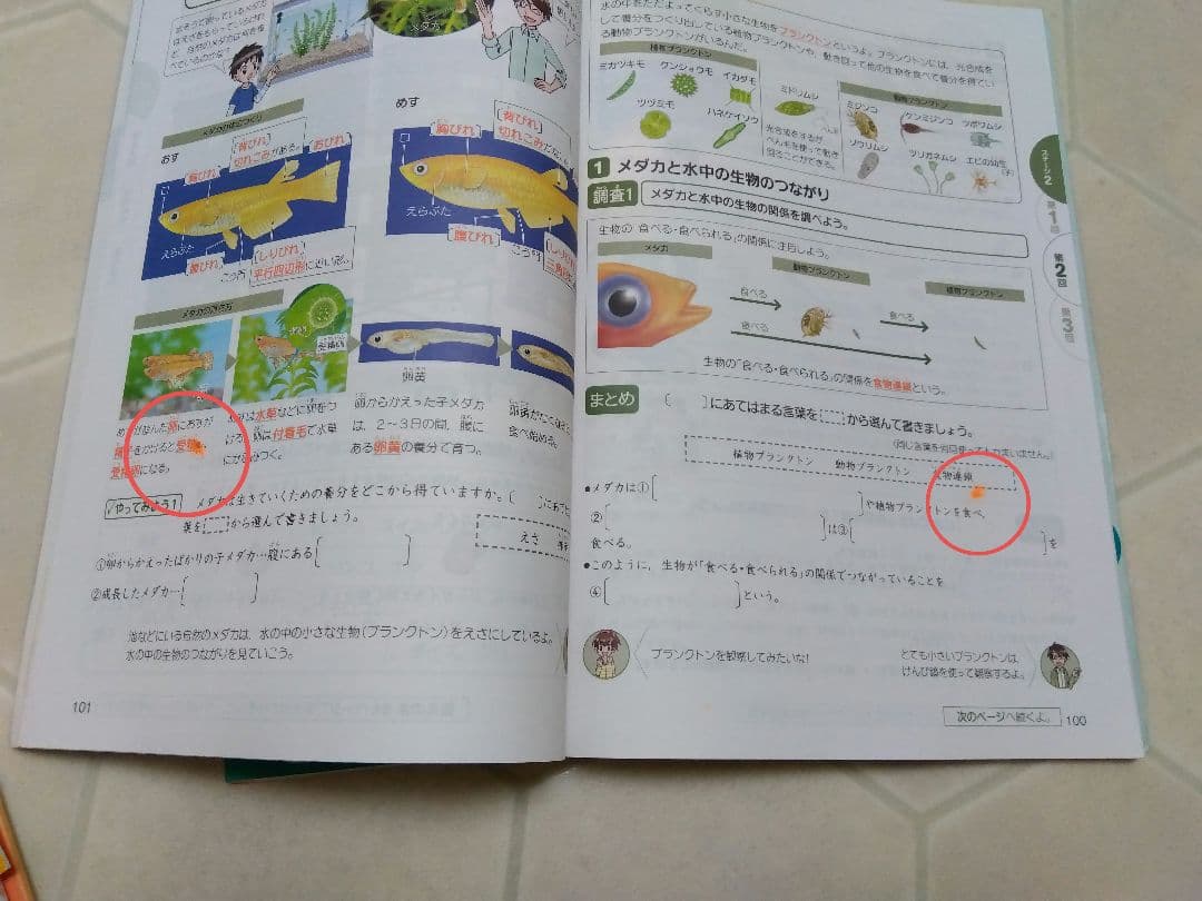考える力プラス　中学受験講座 5年生　5月から7月+おまけで8・9月号