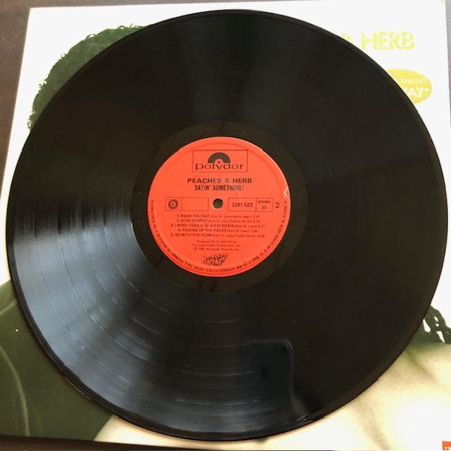 【輸入盤LP】ピーチズ＆ハーブ セイイン・サムシング 2391 522 y117
