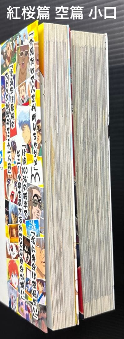 銀魂 3年Z組 銀八先生 広侍苑 キャラクターズブック 全30冊 DVD