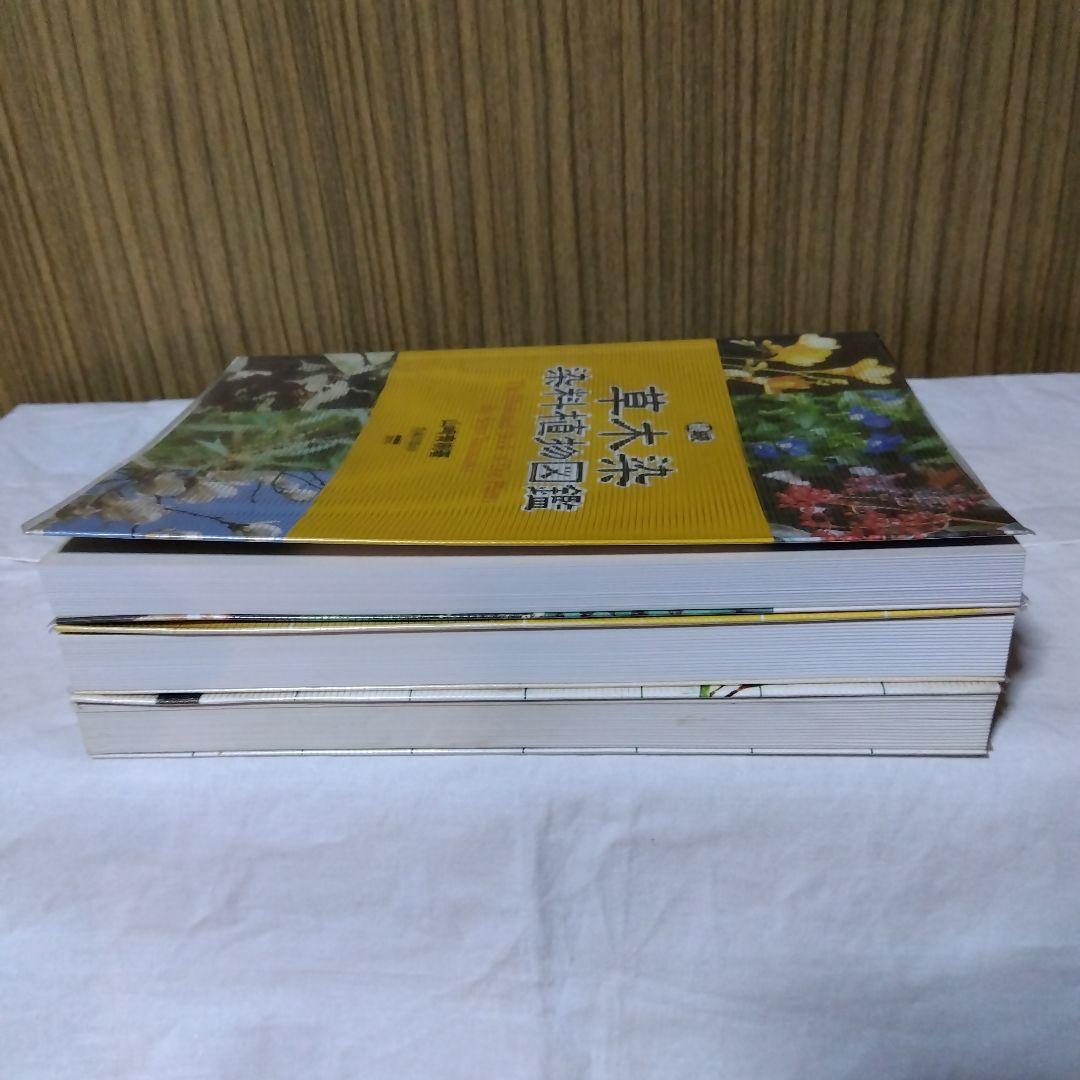 草木染染料植物図鑑　正・続・続続　3冊セット／山崎青樹著／美術出版社