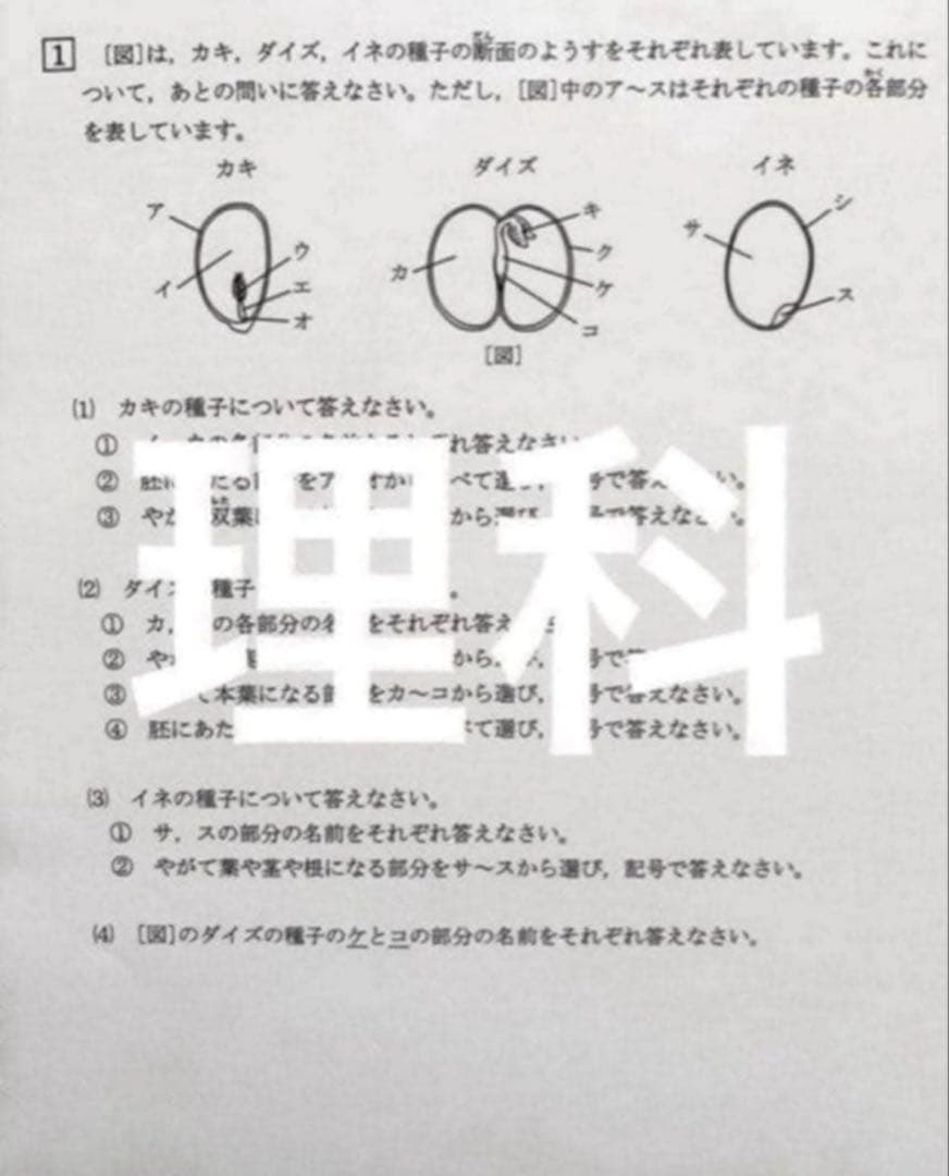さお様