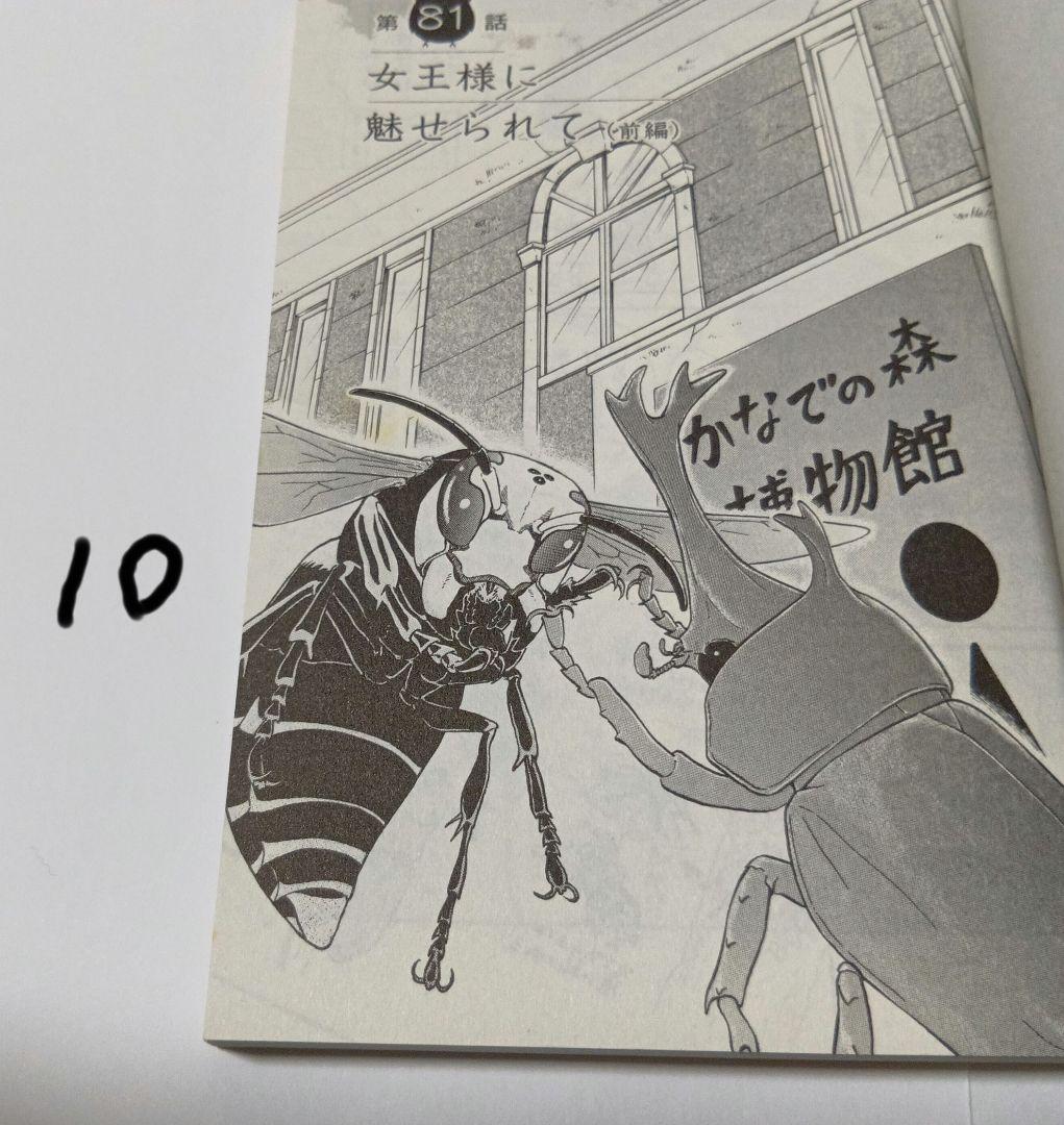 へんなものみっけ！ 1巻〜12巻 既刊全巻セット