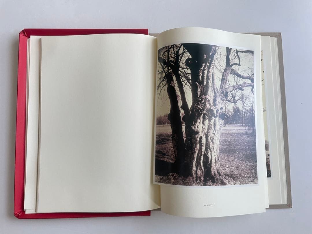 ウジェーヌ・アジェ trees 写真集 樹木　フランス　額装素材