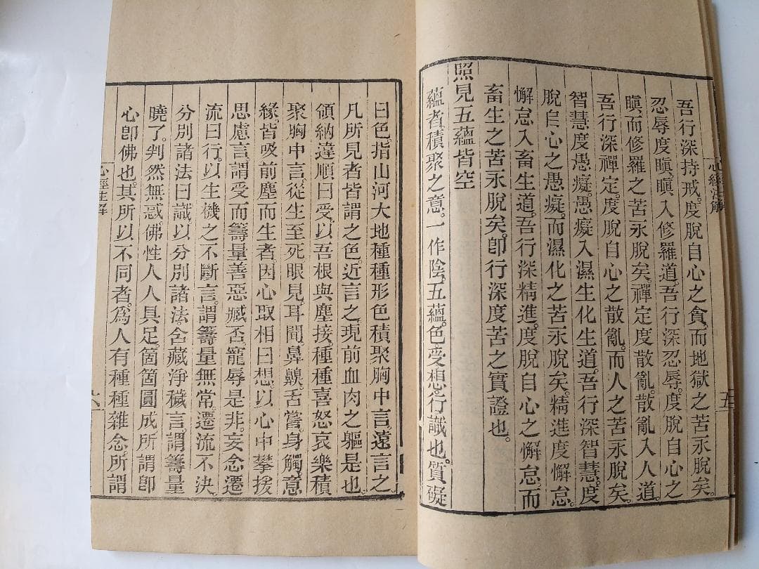 摩訶般若波羅密多心経註解 心経註解 大興朱珪 注解 です。