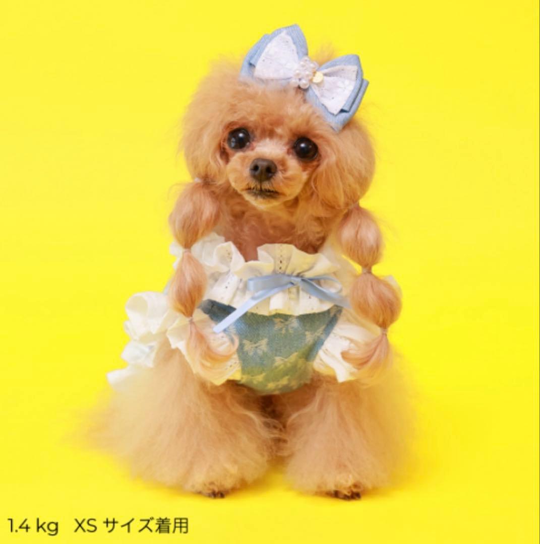 【値下対応中！】新品未使用godpiva COOLデニムハーネス リボン柄 S