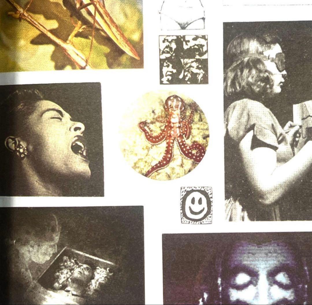 絶版‼️ FUCK THIS LIFE / DAVE innen zine