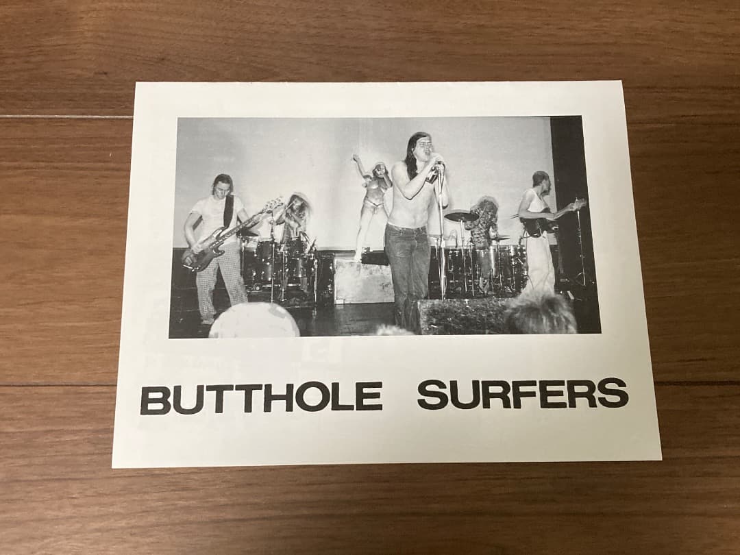 USオリジナルBUTTHOLE SURFERS「DOUBLE LIVE」レコード