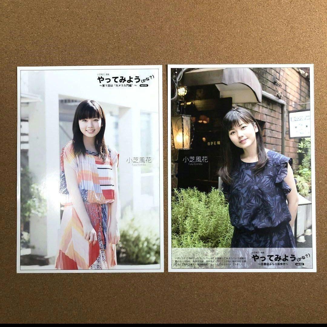 【新品】小芝風花 20ページセット #5681