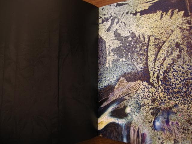 AM Projects 3AM 横田大輔 Daisuke Yokota