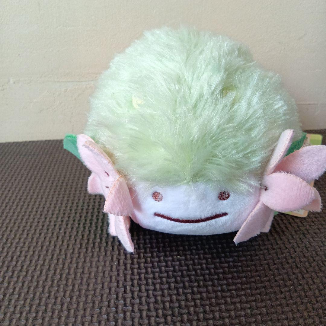 へんしんメタモン　シェイミ　ポケモン　ぬいぐるみ