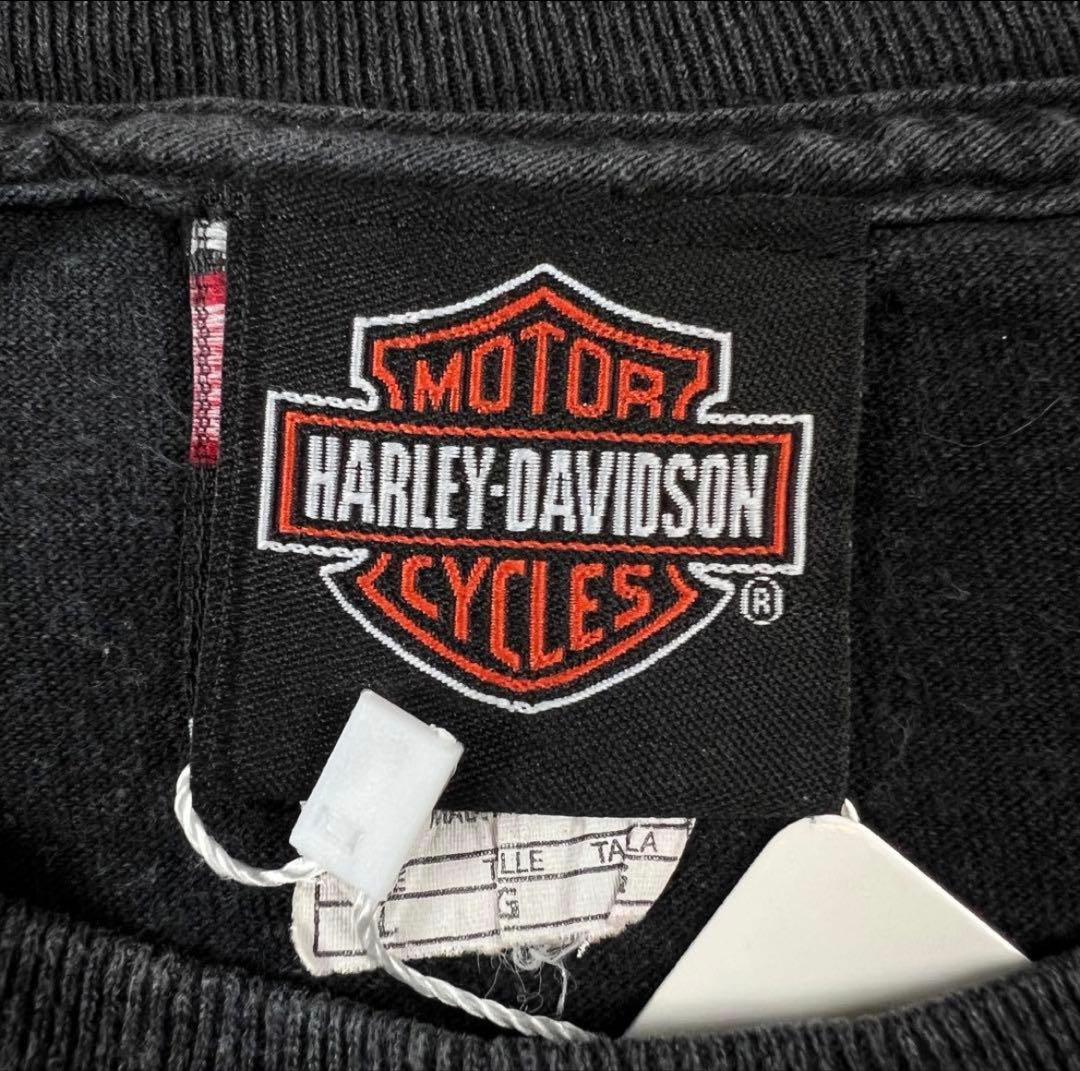 【Lサイズ】Harley Davidson ロンT 袖プリ ピンナップガール