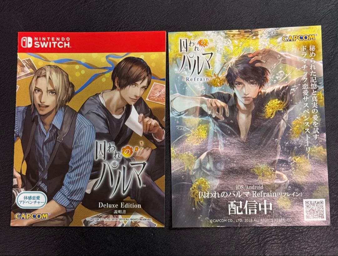Switch 囚われのパルマ デラックス エディション