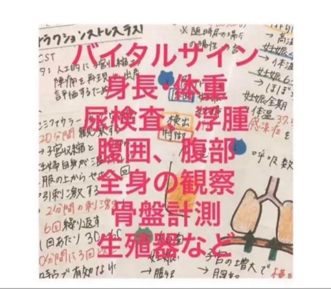 助産師　助産学生　実習・国家試験対策参考書セット　まとめ売り　まとめノート