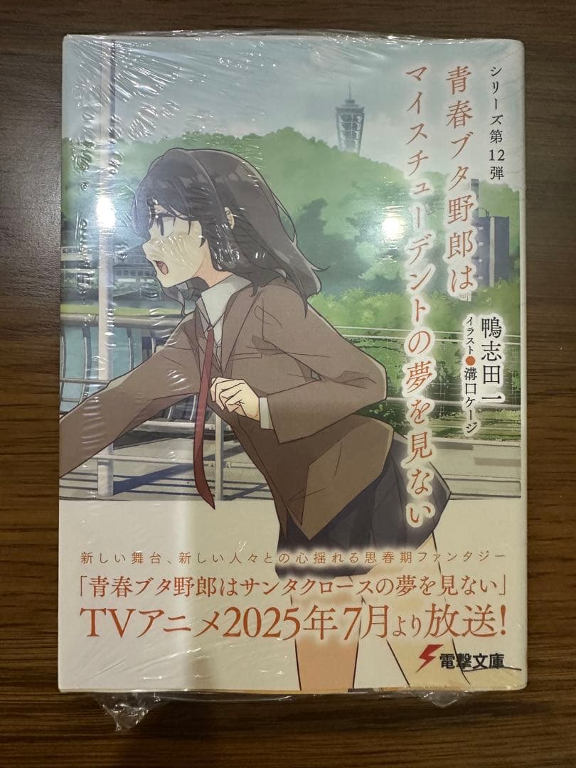 [未使用]青春ブタ野郎文庫15点セット