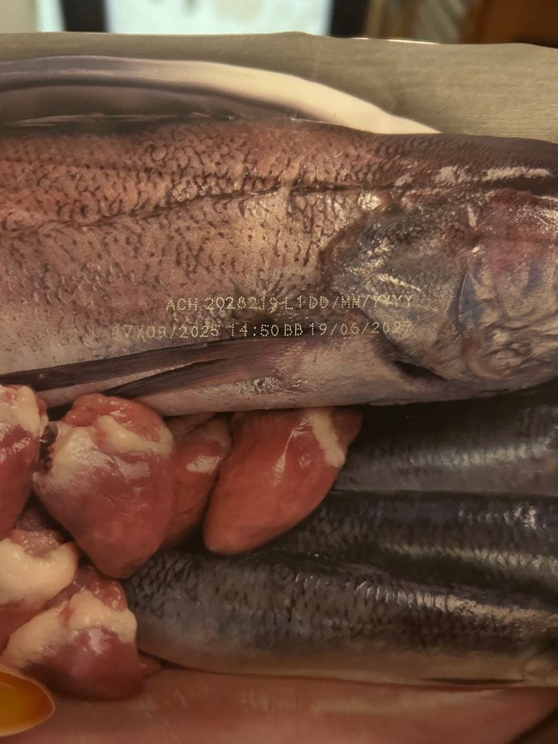 カナダ産 オリジン オリジナル 11.4kg Orijen dogfood