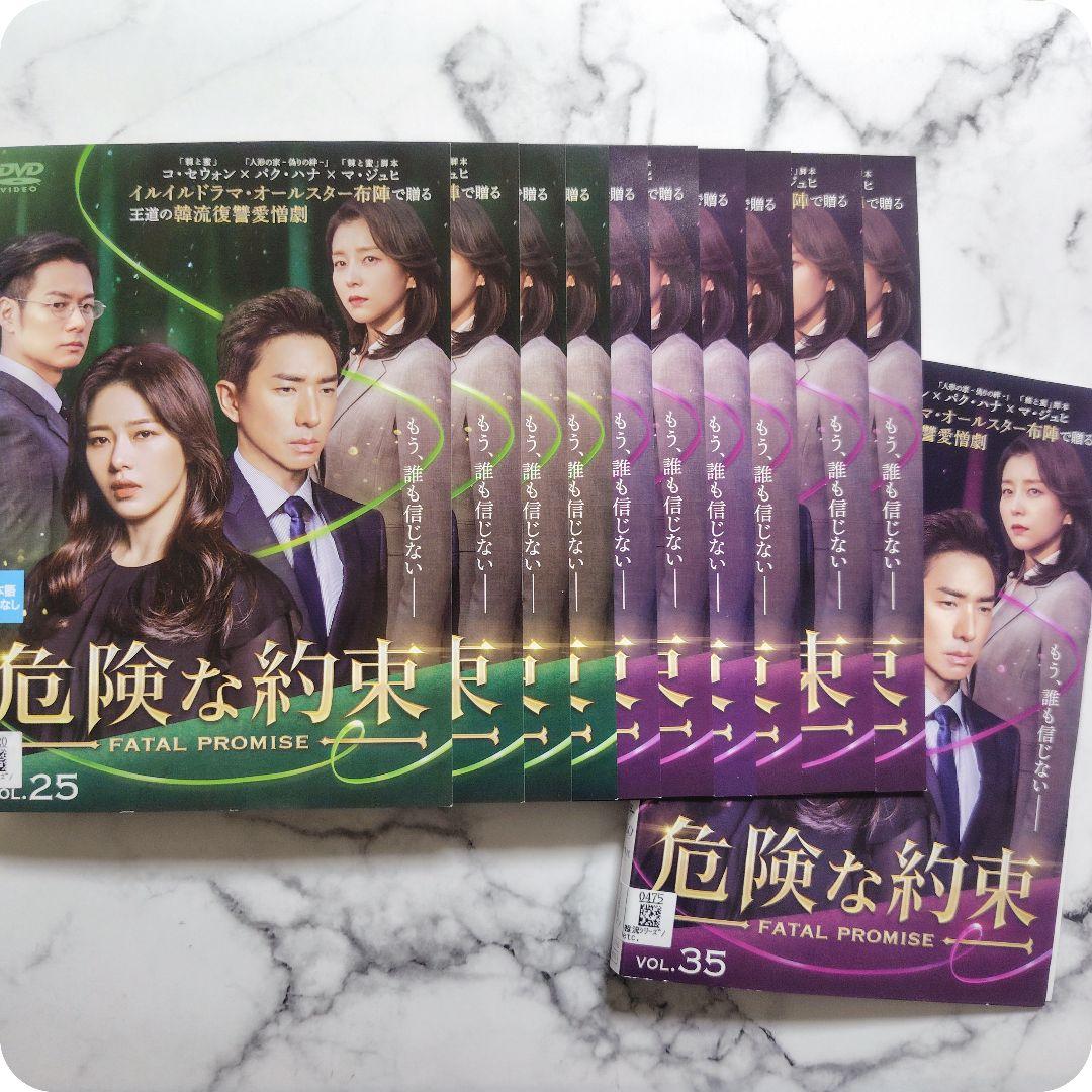 パク・ハナ★コ・セウォン★マ・ジュヒ『危険な約束』レンタル落ちDVD★全巻