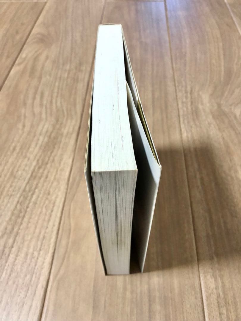 値下げ【美品】杉森建の仕事 ポケモン