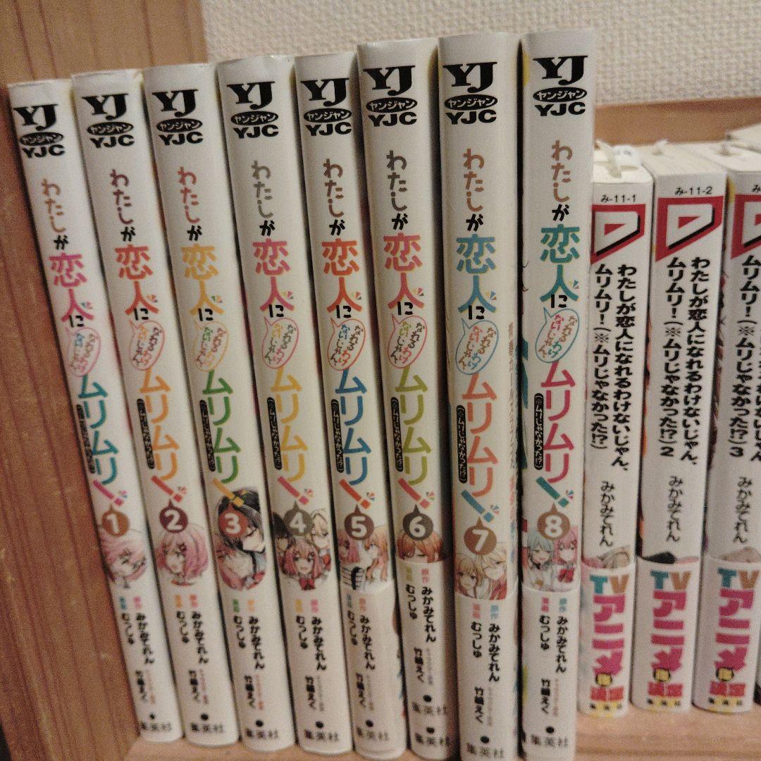 わたしが恋人になれるわけないじゃん、ムリムリ！漫画小説セット