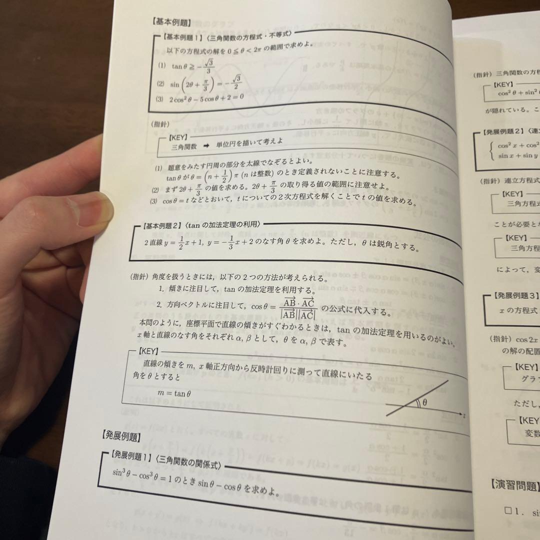 み*ん様 鉄緑会 数学発展講座Ⅱ 数学発展講座Ⅱ 問題集 解説冊子集