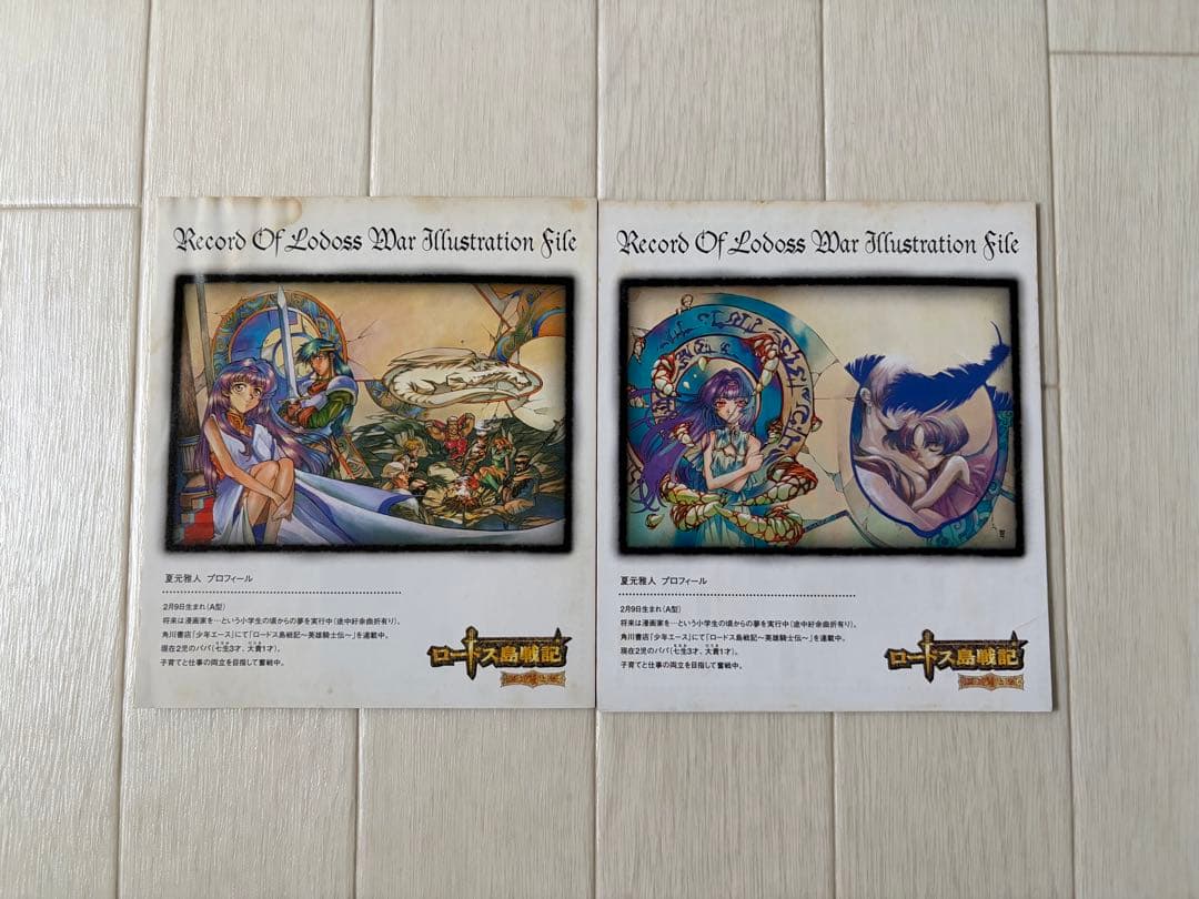 ロードス島 英雄騎士伝 DVD-BOX 全巻セット