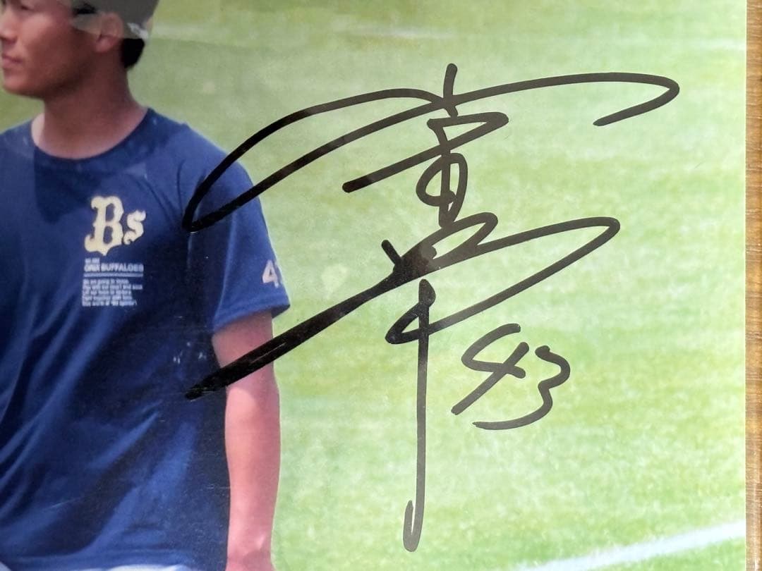 山本由伸投手　直筆サイン入　Ｌ版生写真　オリックス背番号43時代　新品額入