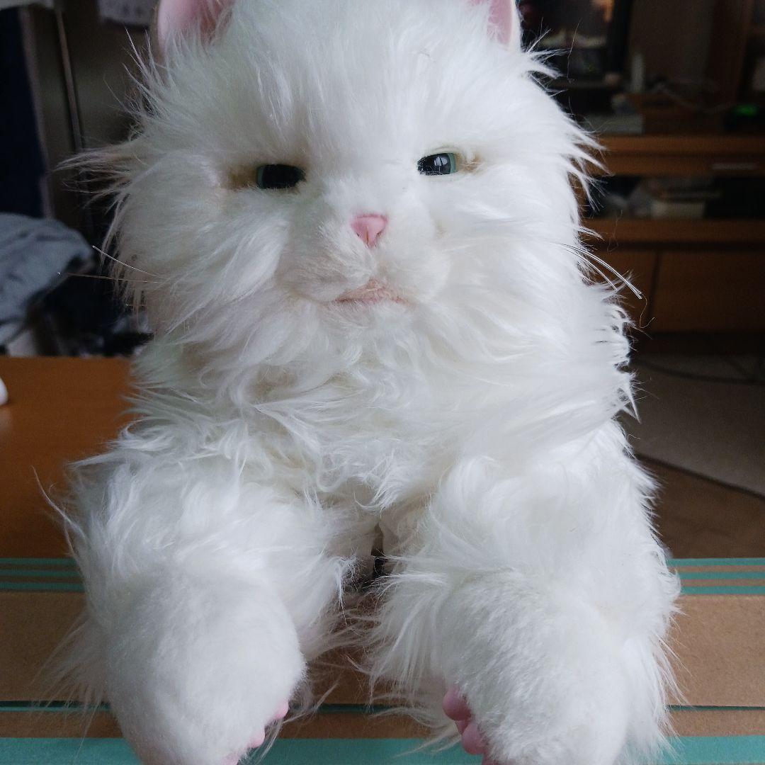 白い猫のぬいぐるみ　あまえんぼう子ネコちゃん