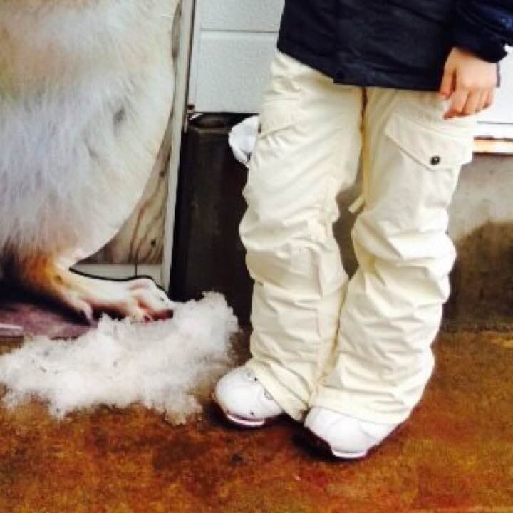 BURTON ウェア パンツ