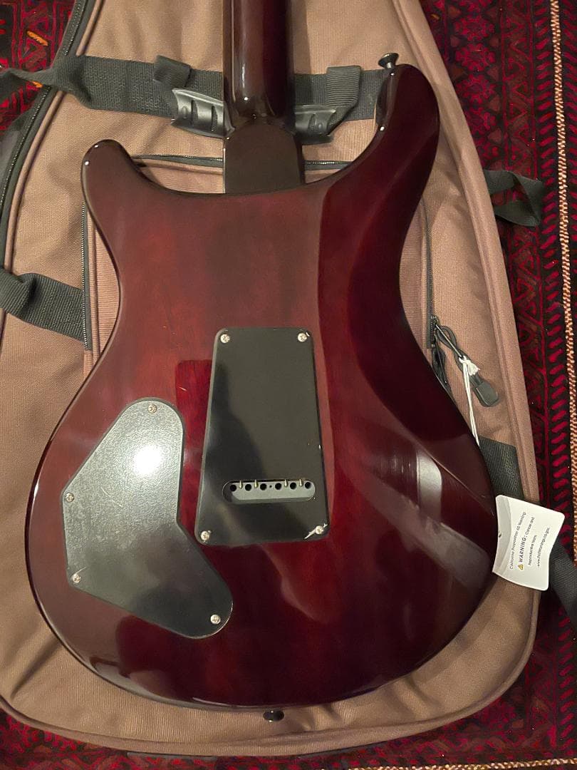 さくPRS SE DGT David Grissom