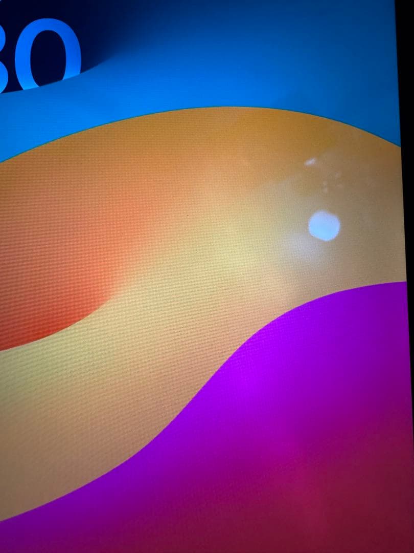 の*読様 Apple iPad Pro 10.5インチ スペースグレー 256G