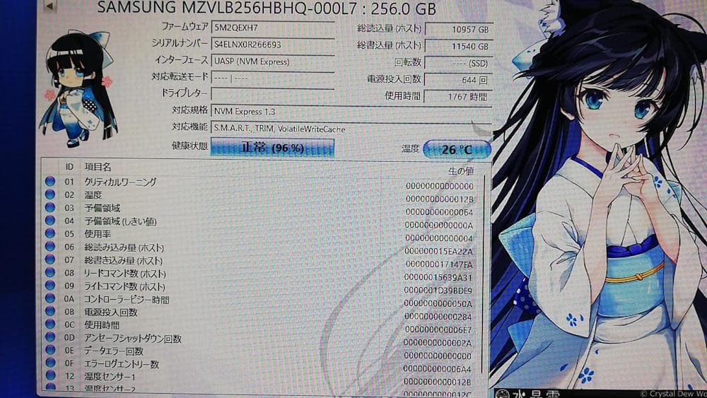 Samsung MZVLB256HBHQ-000L7 256GB SSD 3枚組