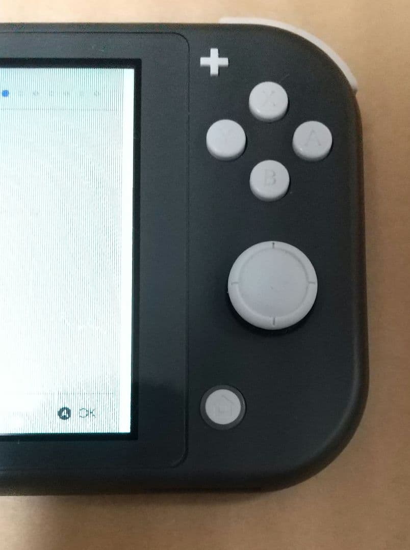 ジャンク 縦線 横線 有り Nintendo Switch Lite 本体