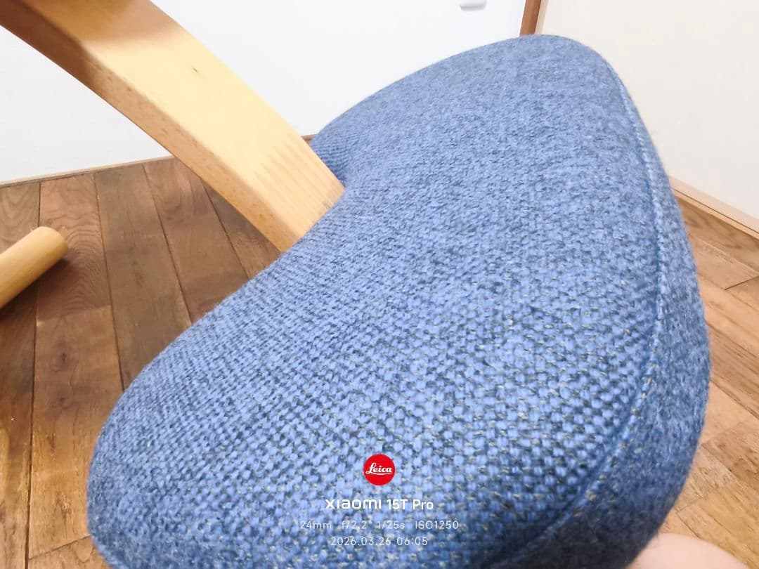 ぽん【極美品】バランスイージー Rybo リボ社 バランスチェア 姿勢改善