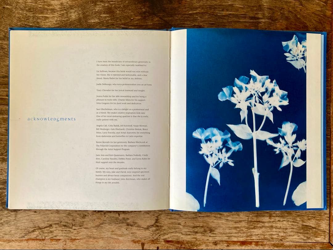 洋書 Blue Prints Zeva Oelbaum