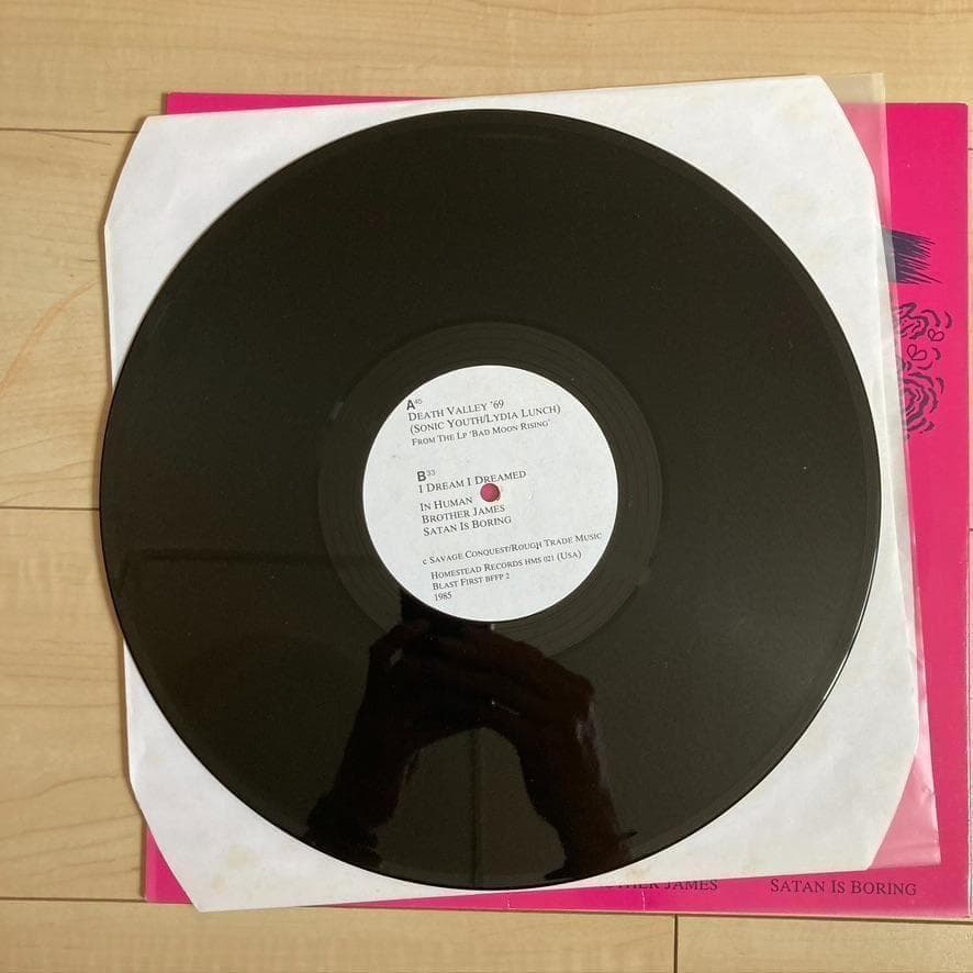 洋楽 SONIC YOUTH LYDIA LUNCH Death Valley 69