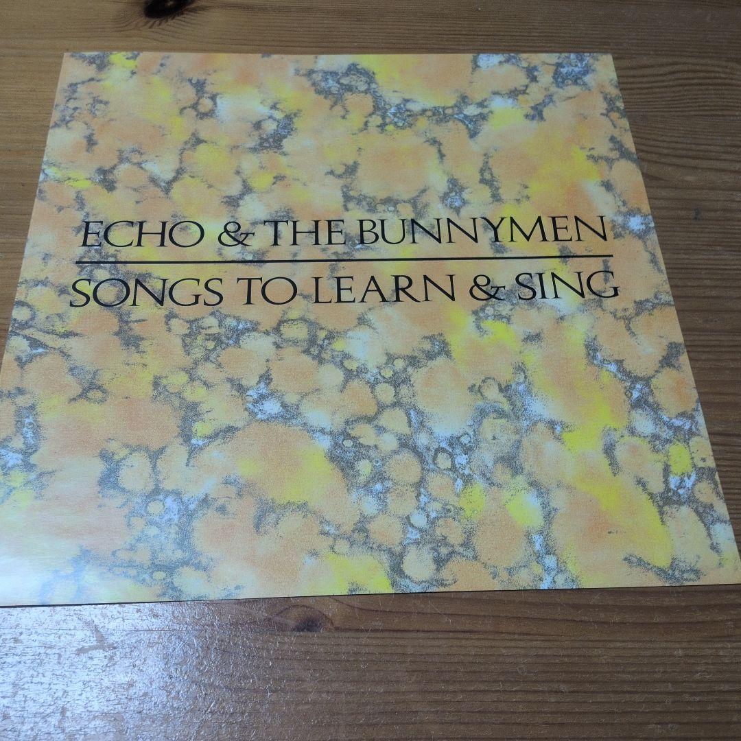 80s名盤LP6枚セット エコバニ/REM国内帯付/コステロ3枚/アイレス