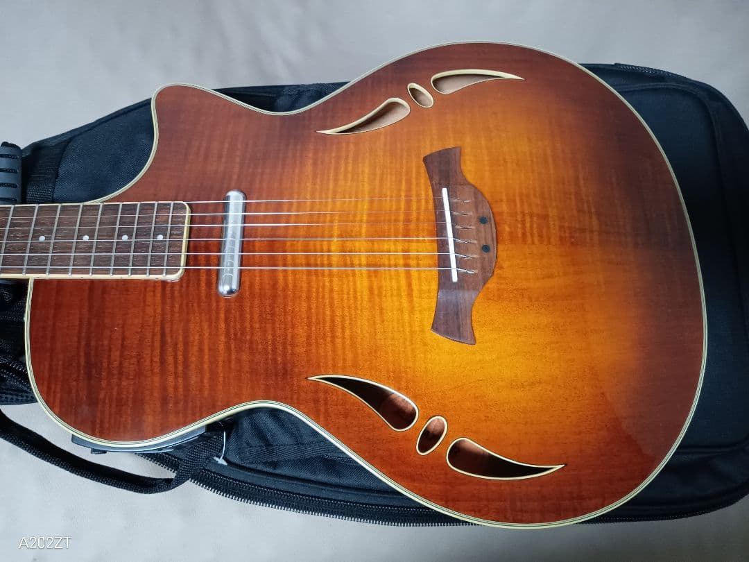 CRAFTER SA-TMVS セミアコ エレキギター ソフトケース付き 動作品