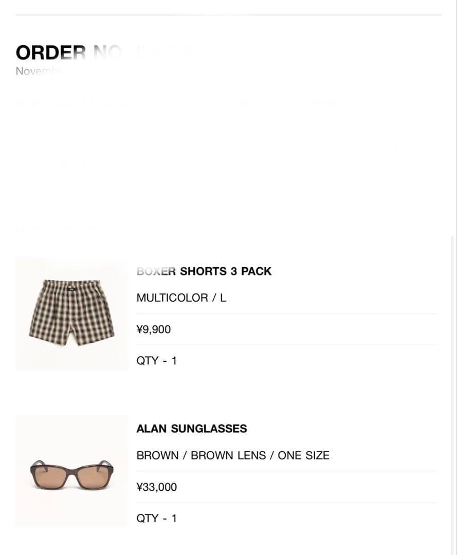 小物 stussy ALAN SUNGLASSES