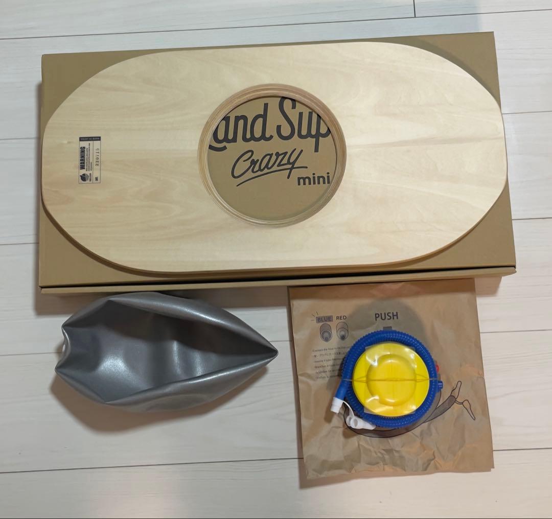 Land Sup Crazy mini バランスボード