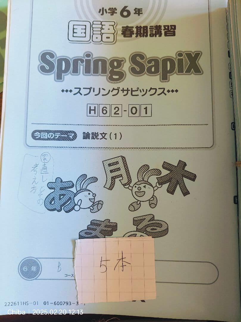 SapiX 国語教材 6年生 Summer & Weekly